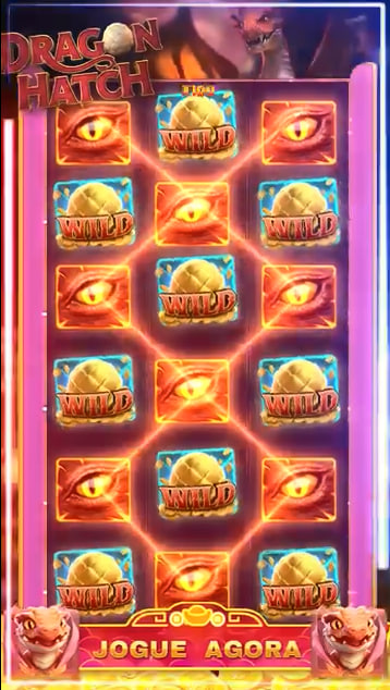 Sport bet casino